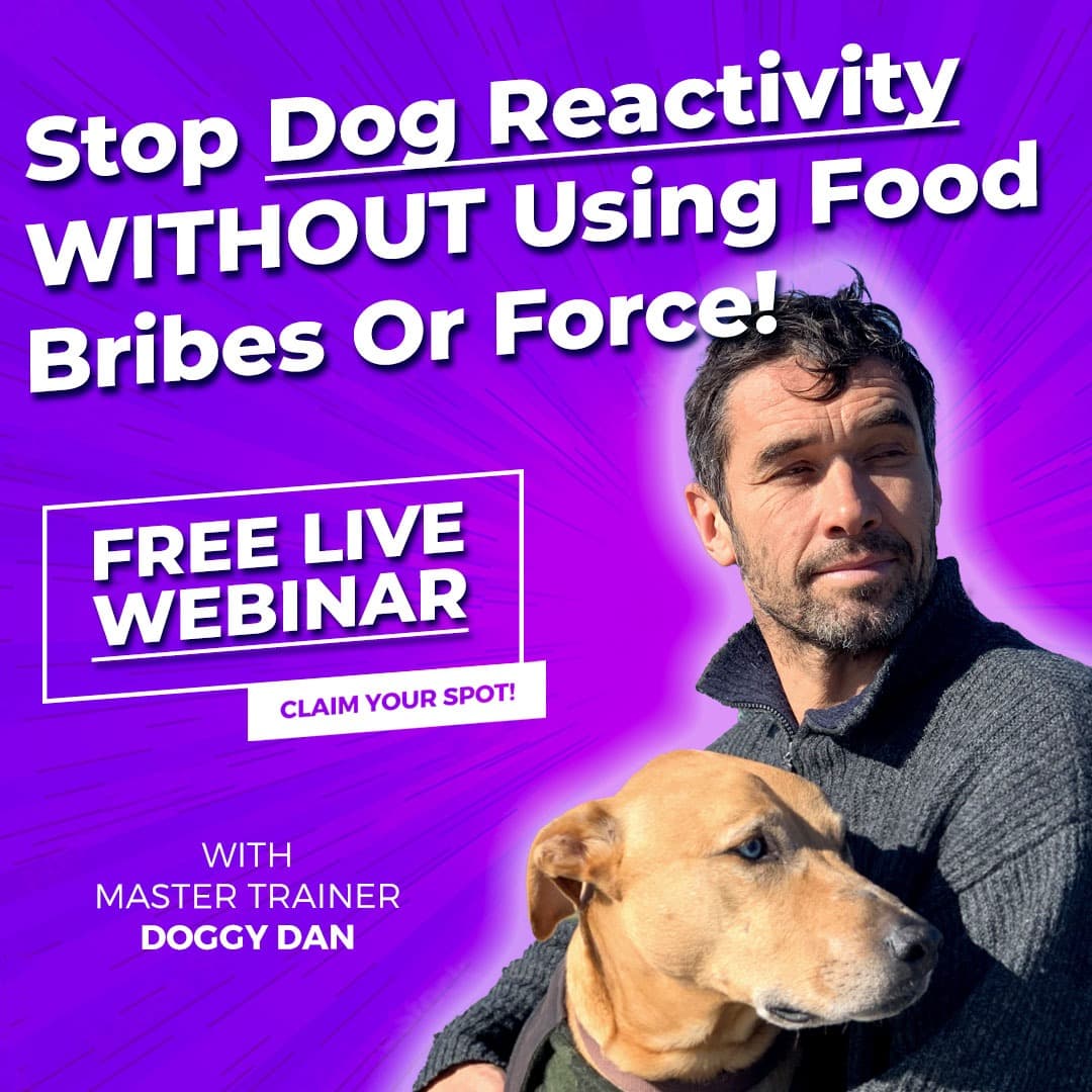 Facebook ad by Doggy Dan