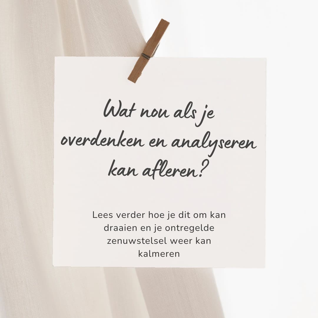 Facebook ad by Bureau Breinfijn