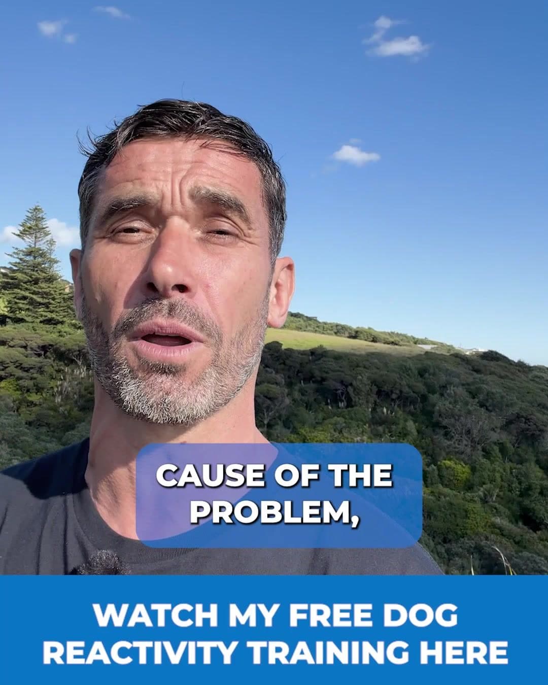 Doggy Dan ad creative, July 2026