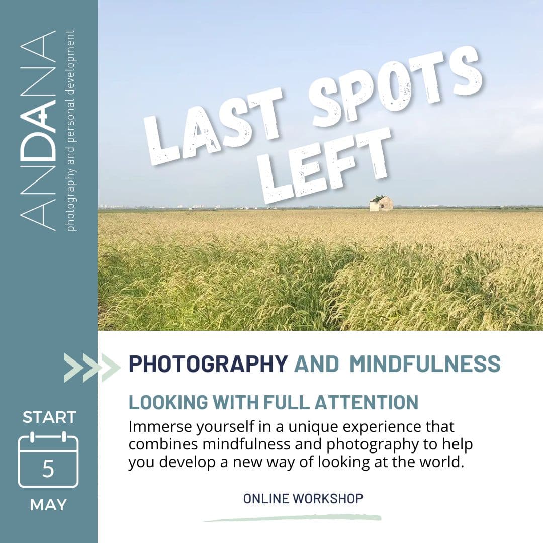 ANDANAfoto ad creative, April 2026