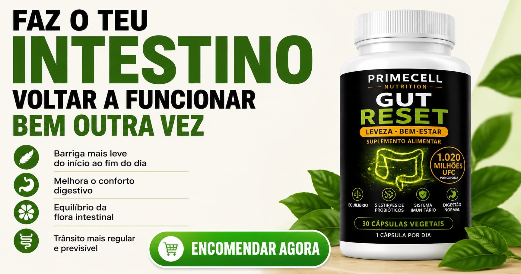 Ricardo Palma ad creative, July 2026