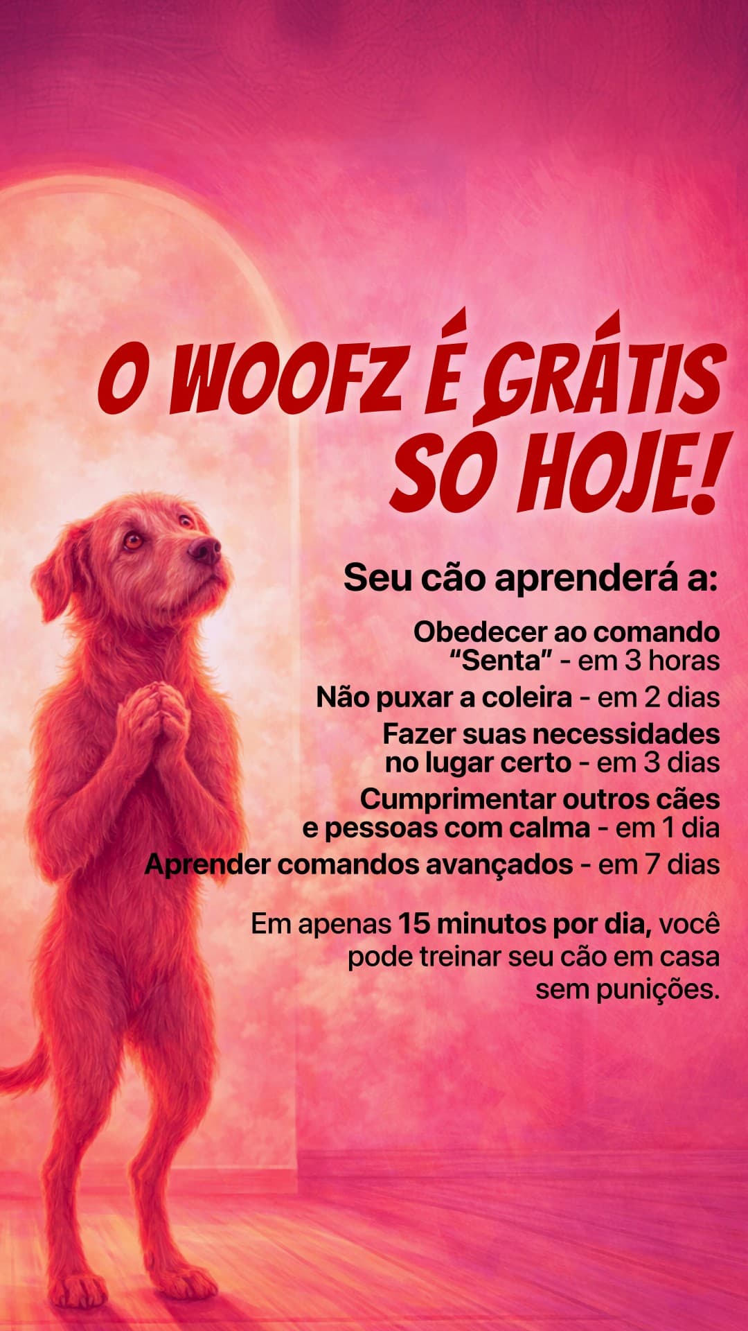 Ad by Better Dog