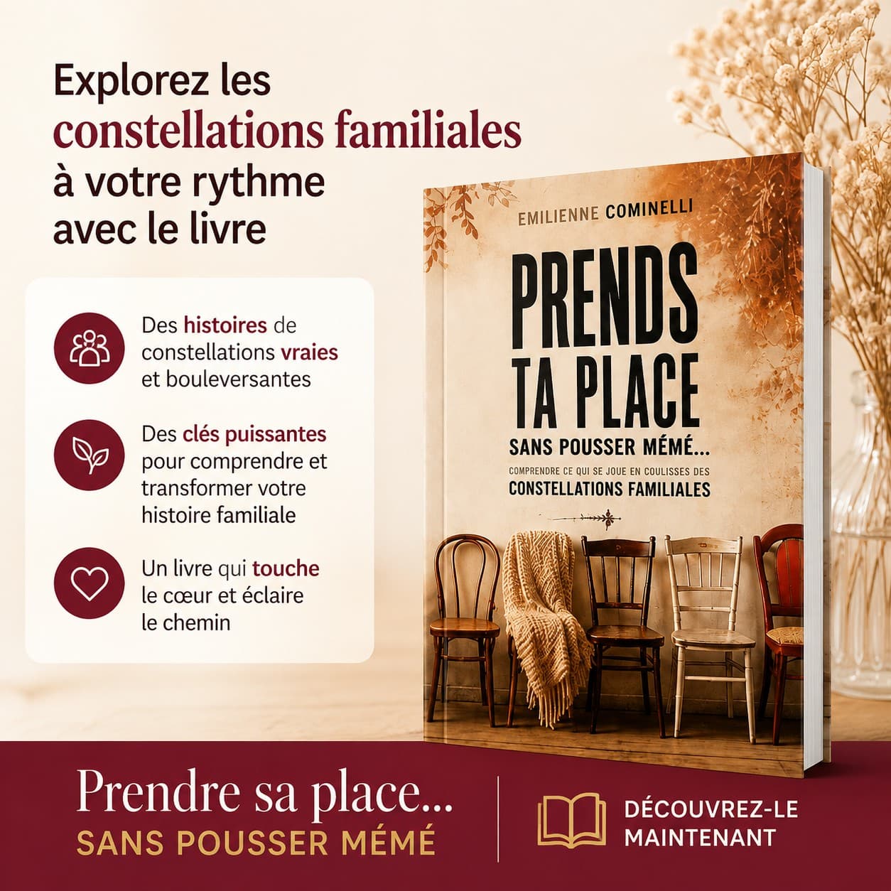 Facebook ad by Nicolas et Emilienne