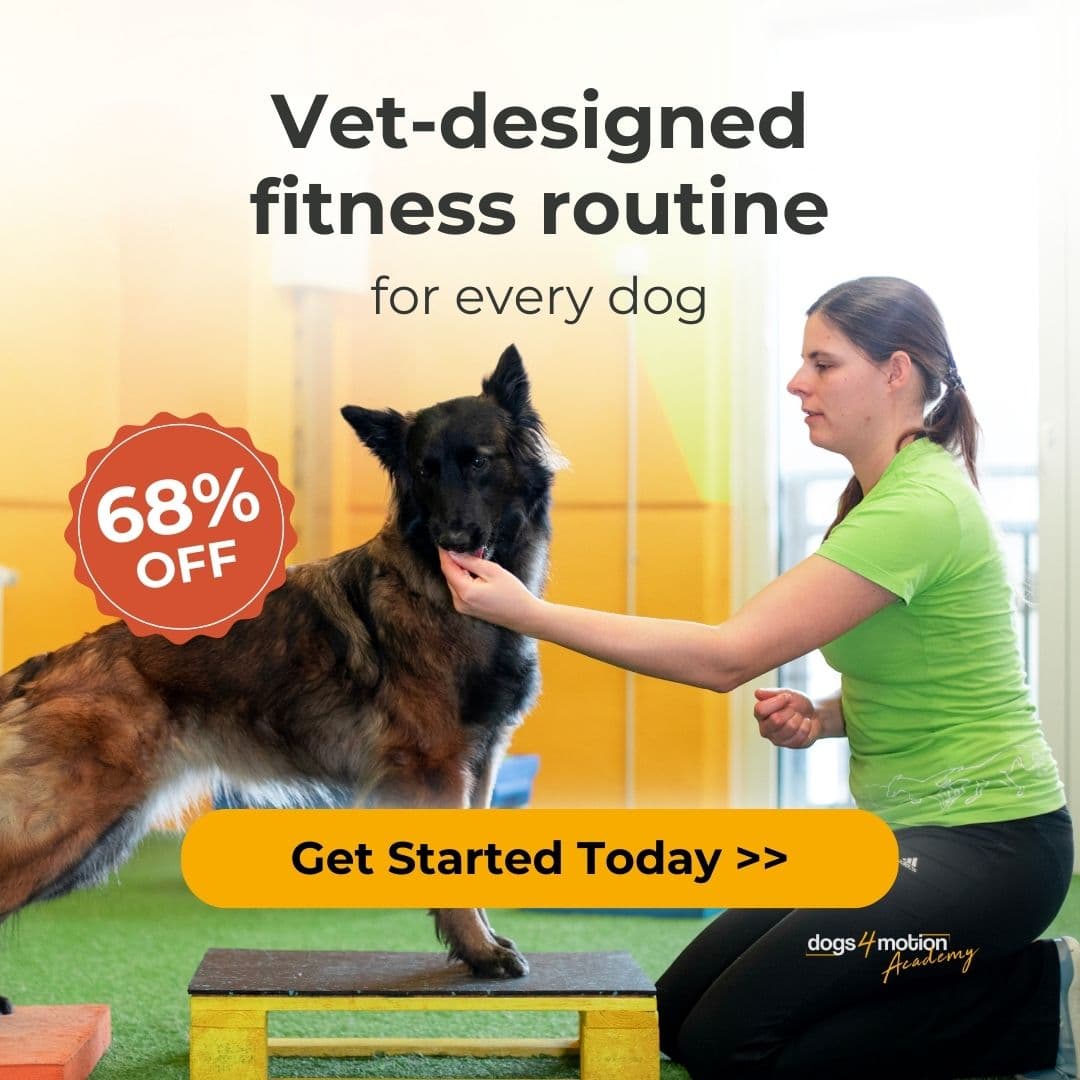 Ad by Dogs4motion Academy for active dogs