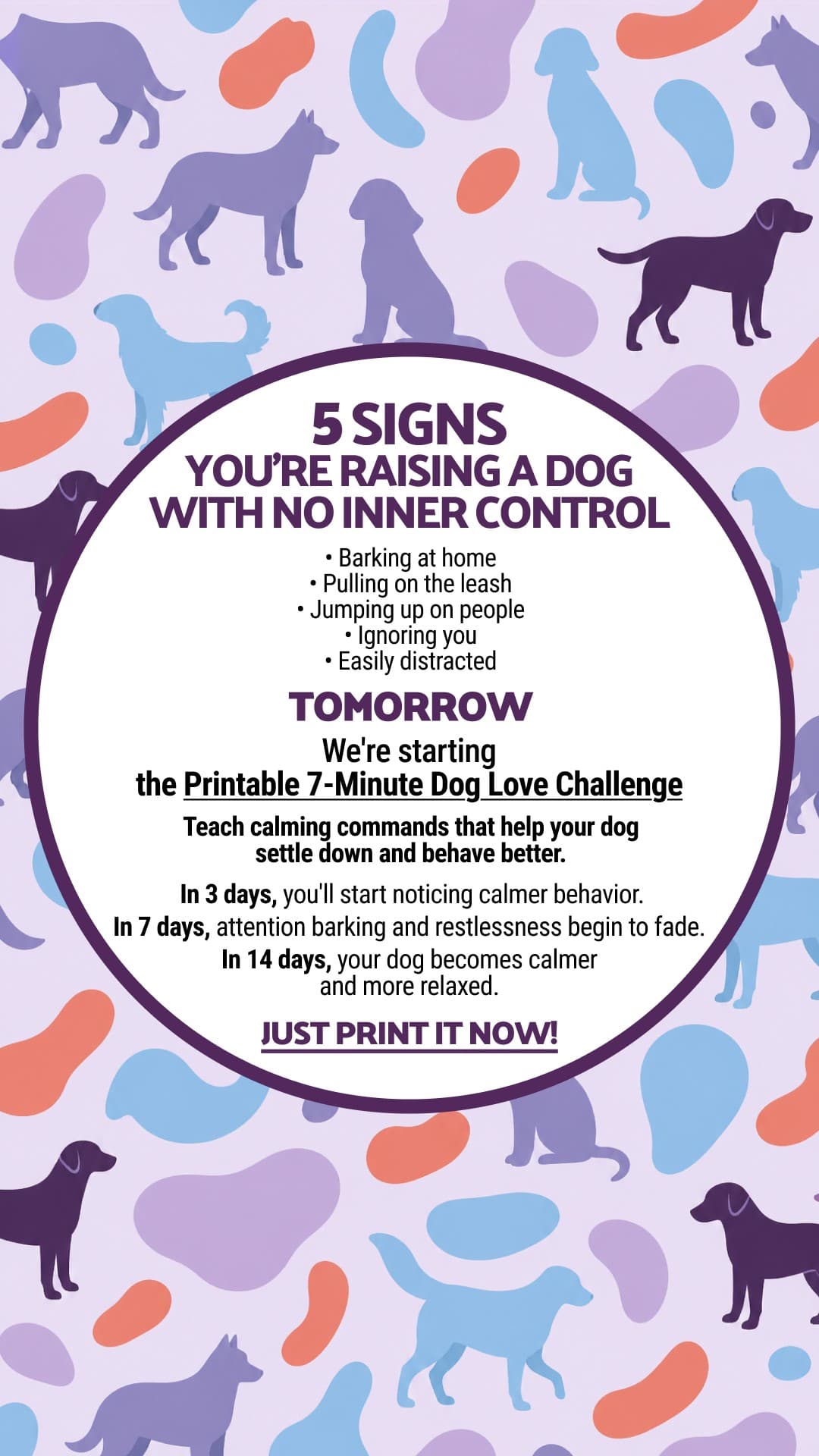Facebook ad by Better Dog