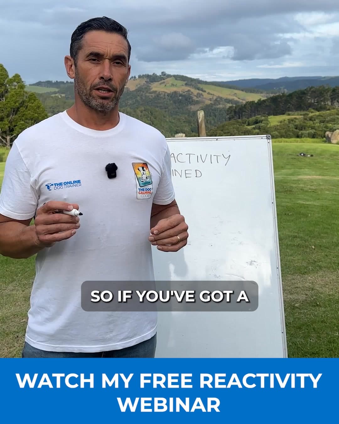 Ad by Doggy Dan