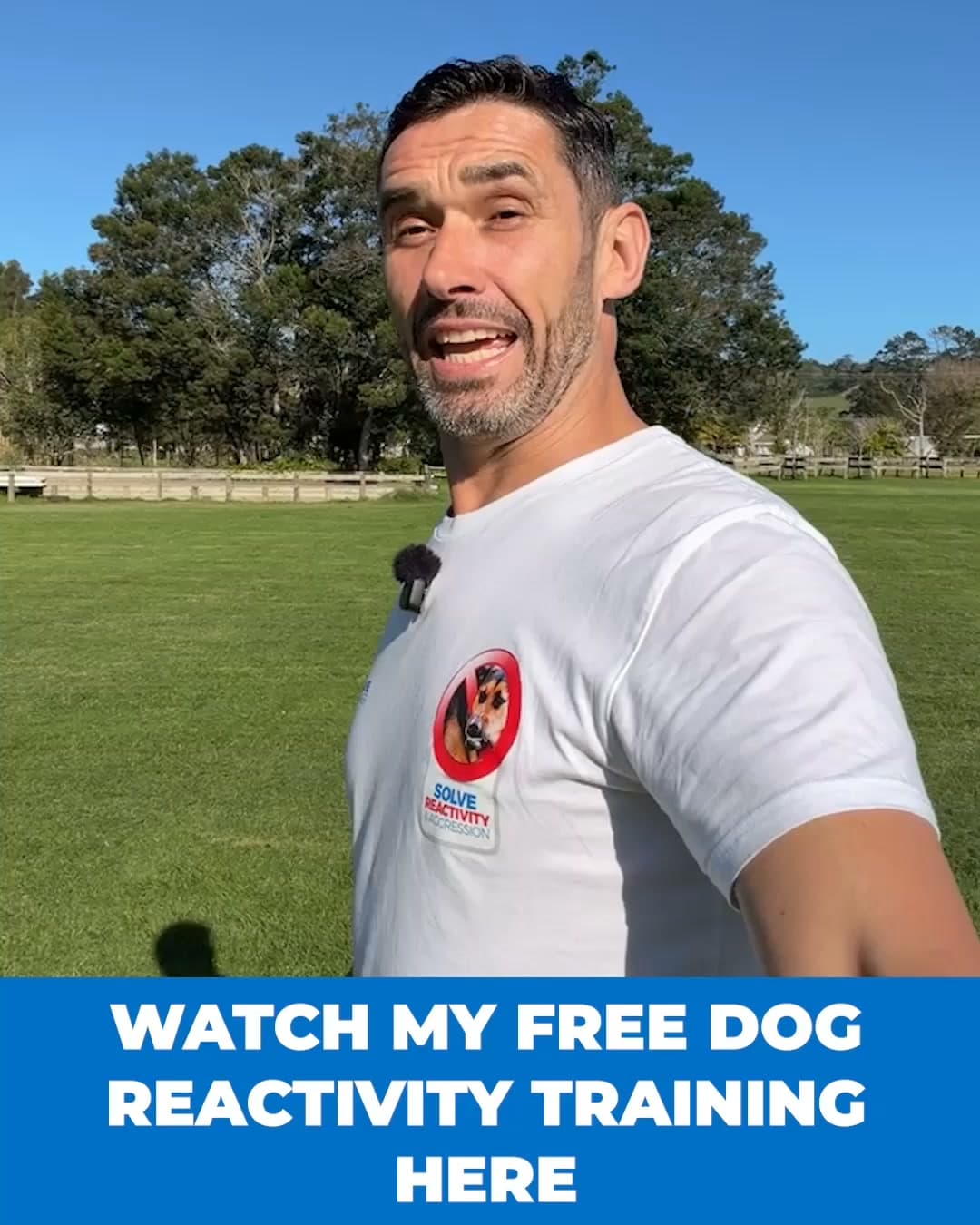 Doggy Dan ad creative, July 2026