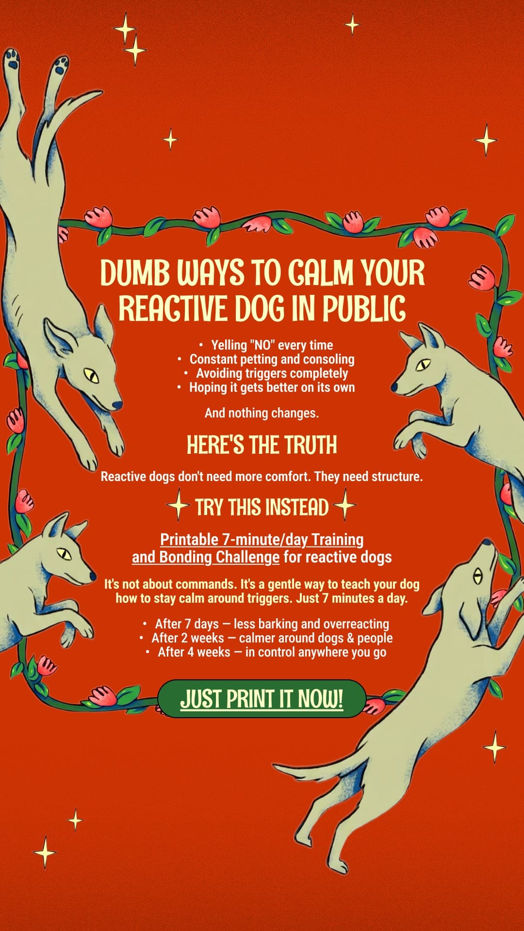 Facebook ad by Better Dog