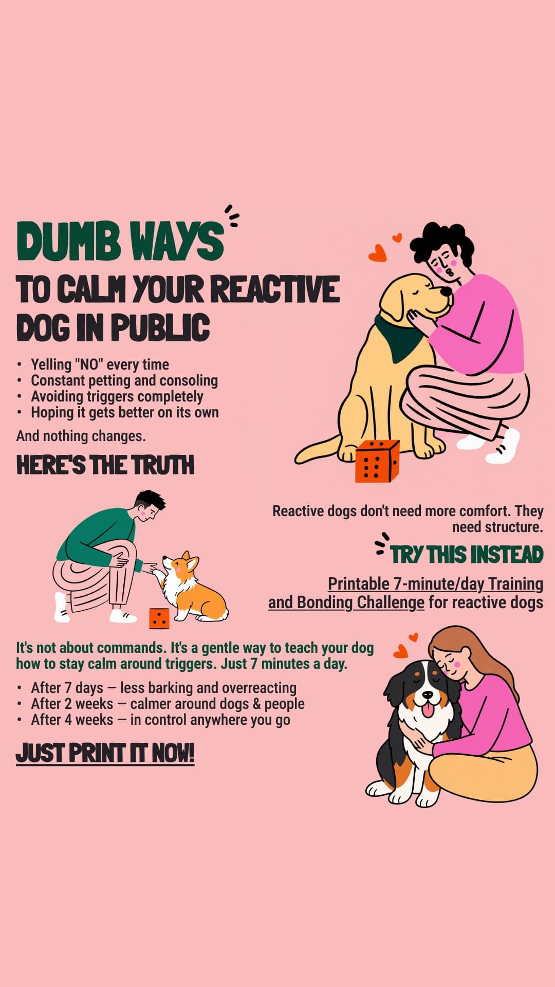 Better Dog ad creative, July 2026