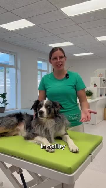 Dogs4motion Academy for active dogs ad creative, June 2026
