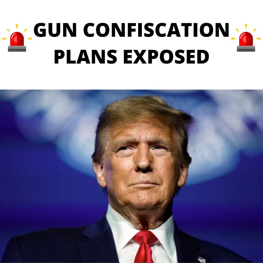 Facebook ad by Nyseel Conservative Algo