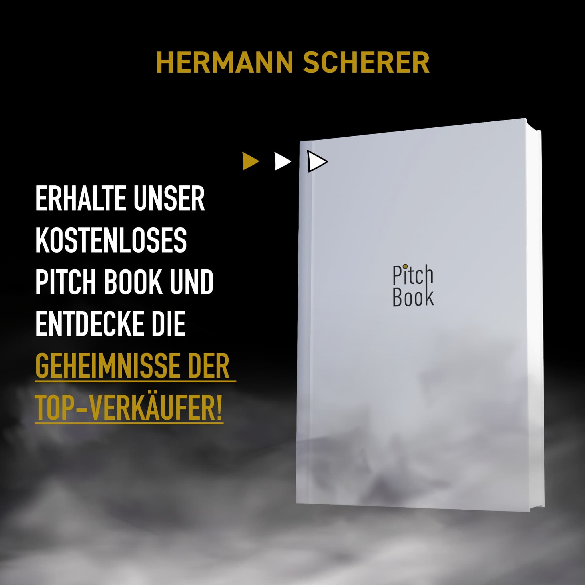Facebook ad by Hermann Scherer