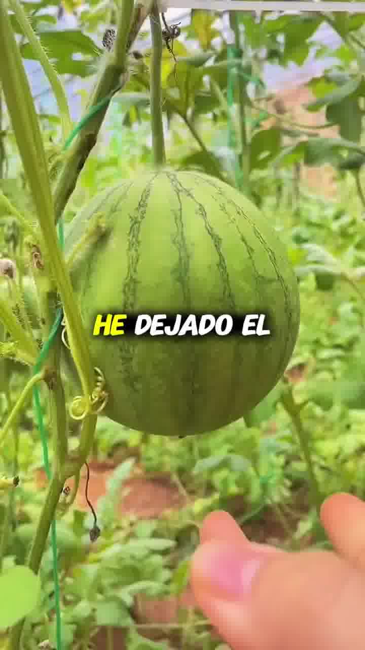 Facebook ad by Programa Árboles Frutales