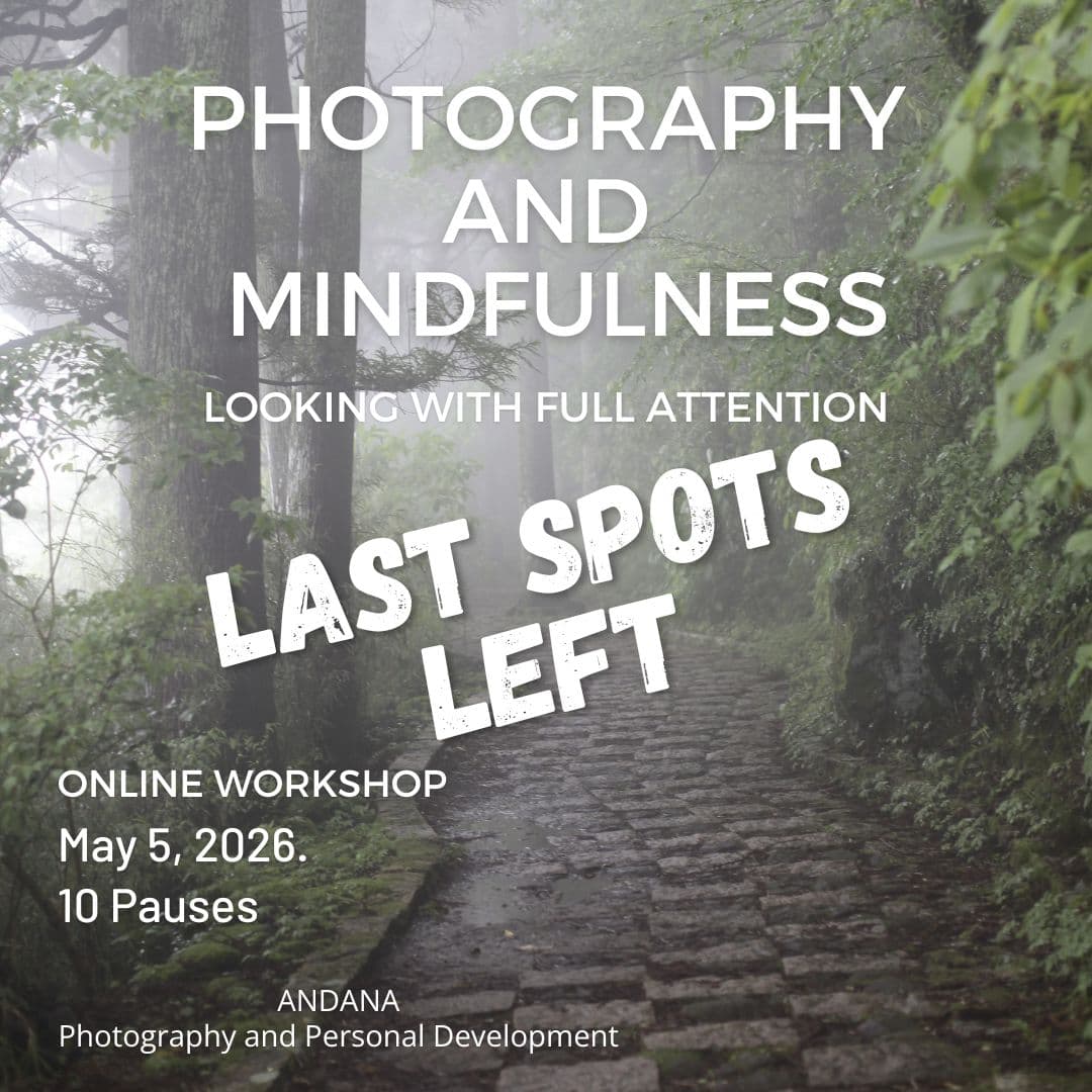 ANDANAfoto ad creative, April 2026