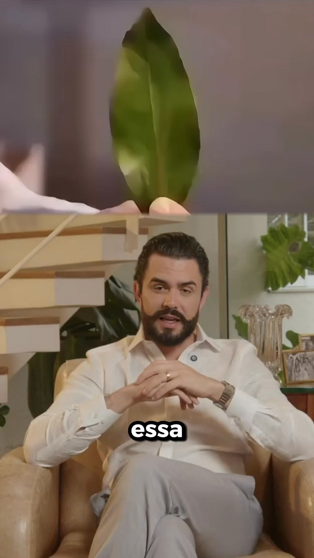 Cardosomundo ad creative, July 2026