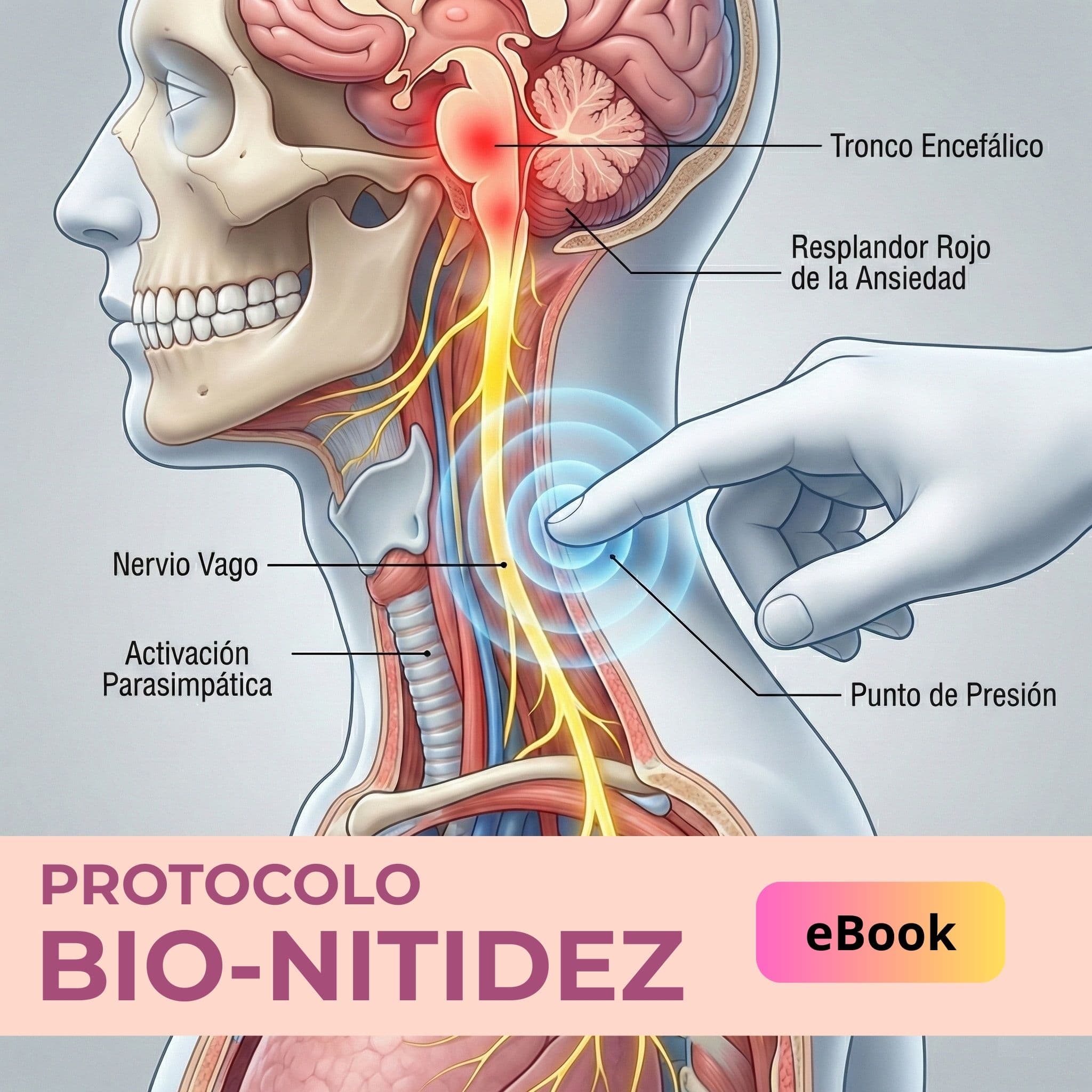 Ad by Vida en Curso