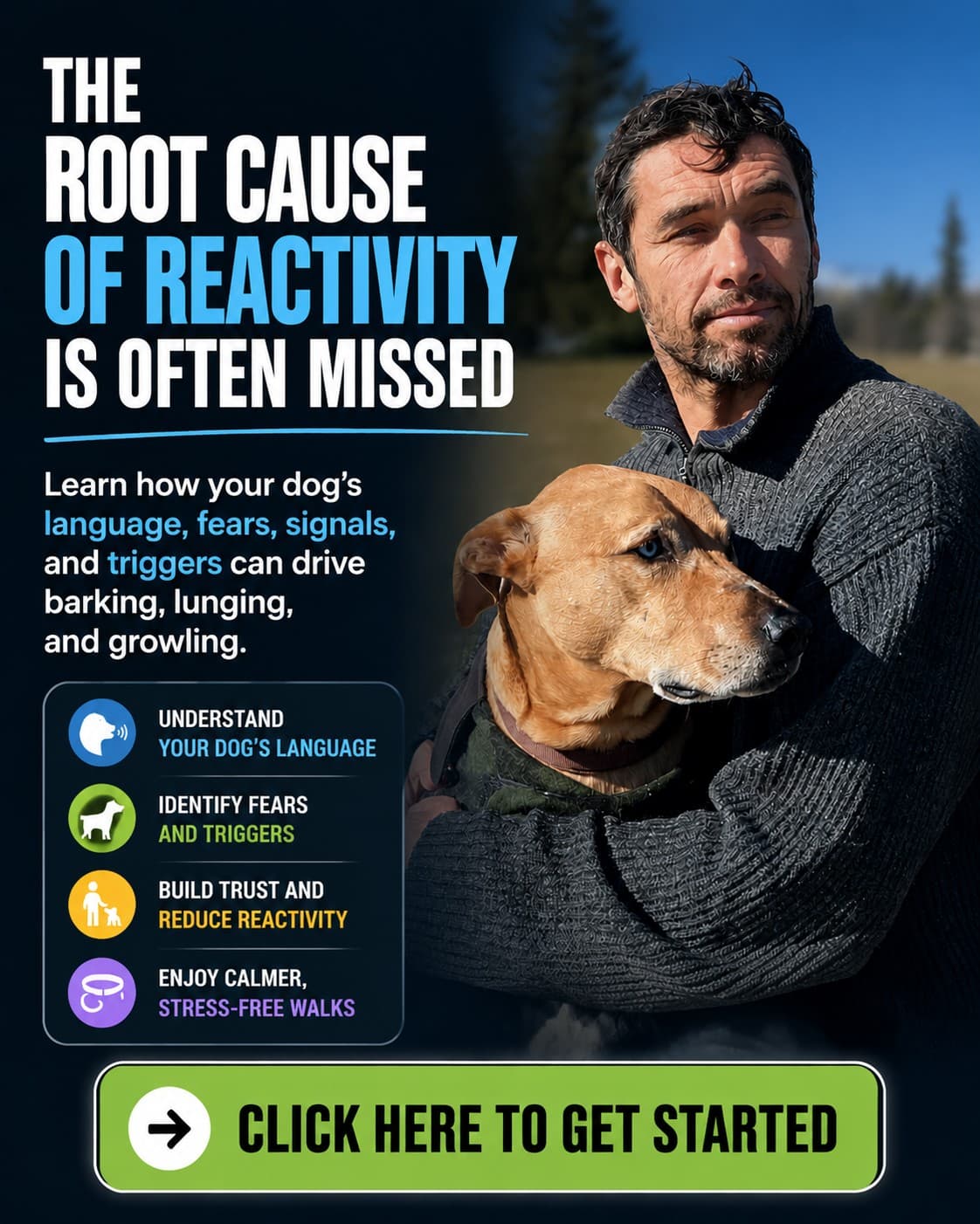 Doggy Dan ad creative, July 2026